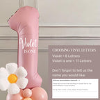 DIY Daisy Balloons Sculpture | No Helium| Girls Balloons Stack |Personalised balloons| Pink Number Balloons|Balloon Display for 1st Birthday