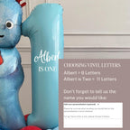 DIY Igglepiggle Personalised Birthday Balloon Display | Birthday Party Balloons| In the Night Garden Party| kids birthday number tower